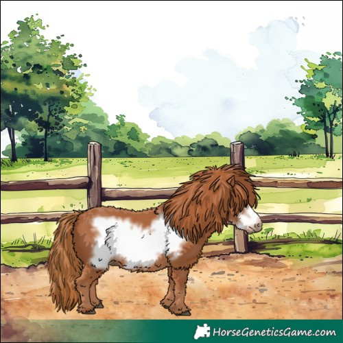 Horse Color:Chestnut Frame 