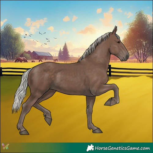 Horse Color:Silver Black