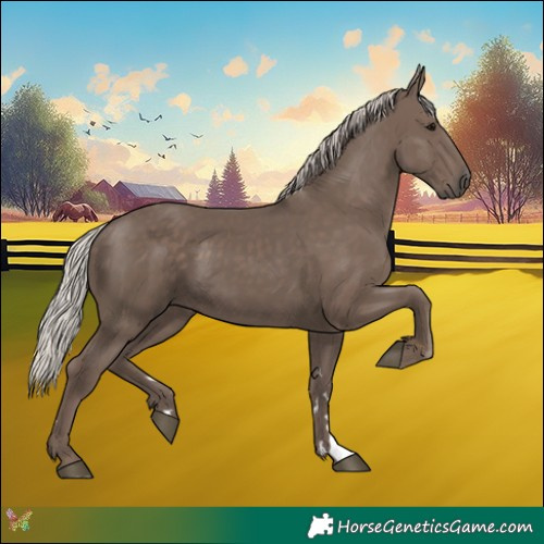 Horse Color:Silver Black
