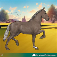 Horse Color:Silver Black 