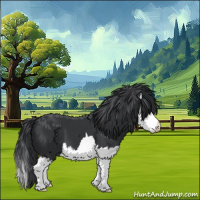 Horse Color:Black Splash 