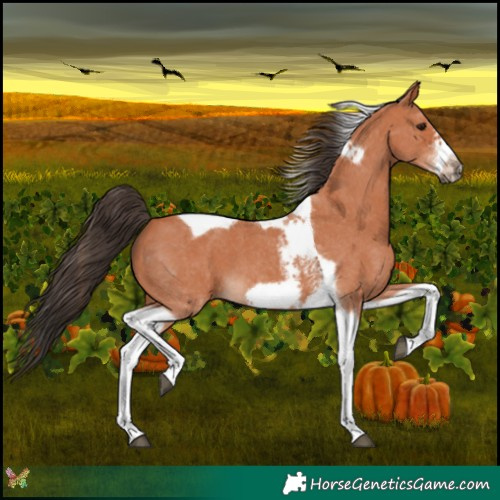 Horse Color:Bay Sabino Tobiano Frame 