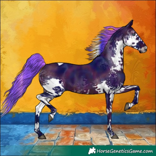 Horse Color:Watercolor Midnight Brown Splash Tobiano 