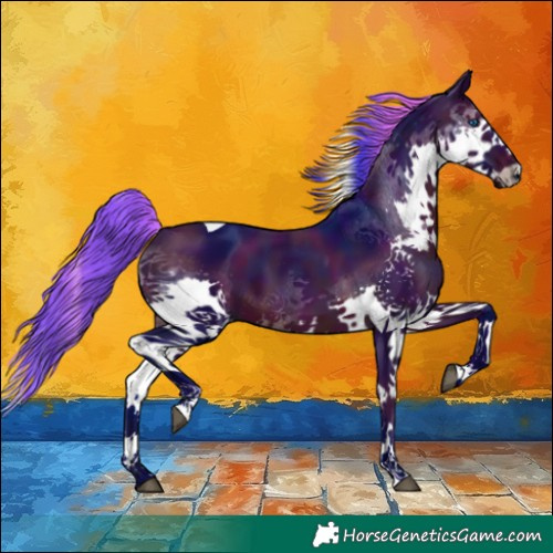 Horse Color:Watercolor Midnight Brown Splash Tobiano 