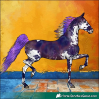 Horse Color:Watercolor Midnight Brown Splash Tobiano 