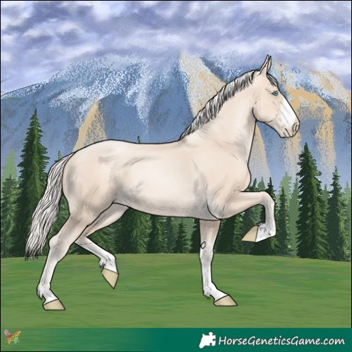 Horse Color:Gold Cream Champagne Pearl 