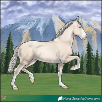 Horse Color:Gold Cream Champagne Pearl 