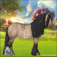 Horse Color:Brown Dun and Bay Dun