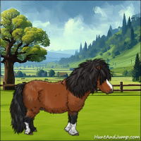 Horse Color:Gray Bay 