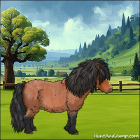 Horse Color:Bay Roan 