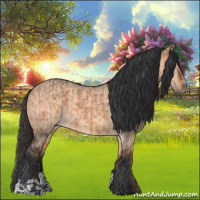 Horse Color:Bay Dun  and Bay Dun 