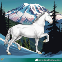Horse Color:Cremello Dun 