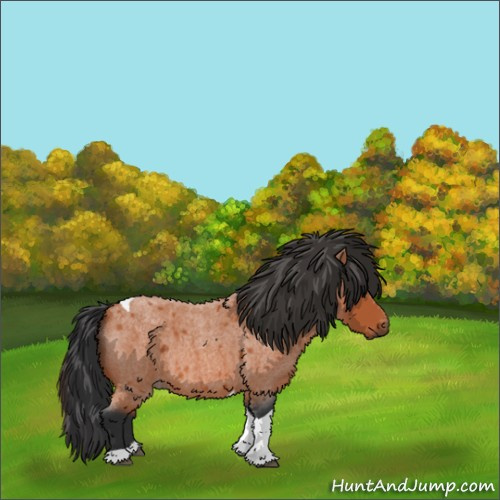 Horse Color:Bay Roan Tobiano 