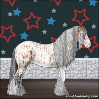 Horse Color:Bay Splash Tobiano Appaloosa  and Bay Splash Tobiano Appaloosa 