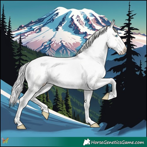 Horse Color:Cremello Dun 