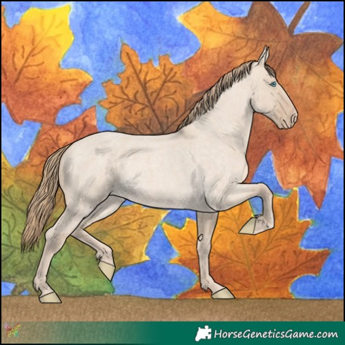 Horse Color:Perlino Roan Dun