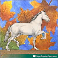 Horse Color:Cremello Dun 