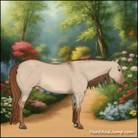 Horse Color:Red Dun Rabicano 