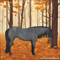 Horse Color:Blue Roan 