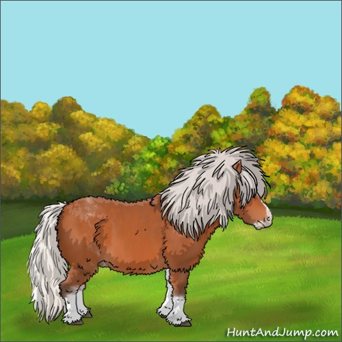 Horse Color:White Spotted Silver Bay Splash Tobiano 