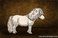 Horse Color:Perlino 