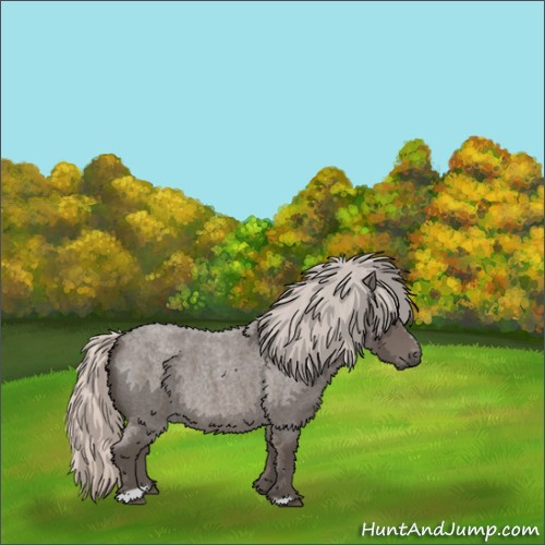 Horse Color:Silver Blue Roan Sabino