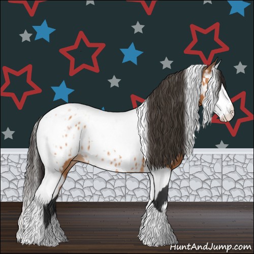 Horse Color:Bay Splash Tobiano Appaloosa and Bay Splash Tobiano Appaloosa
