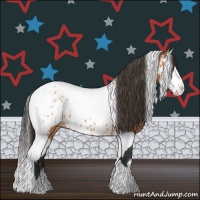 Horse Color:Bay Splash Tobiano Appaloosa  and Bay Splash Tobiano Appaloosa 