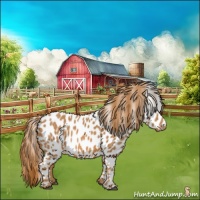 Horse Color:Chestnut Leopard 