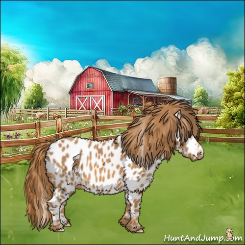 Horse Color:Chestnut Appaloosa