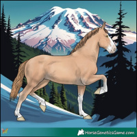Horse Color:Gold Champagne Splash