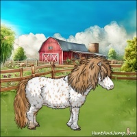 Horse Color:Chestnut Near Leopard 