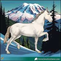 Horse Color:Buckskin Roan Pearl  and Buckskin Roan Pearl 