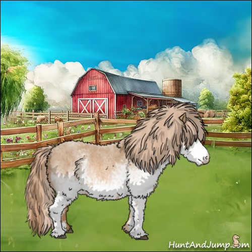 Horse Color:White Spotted Red Roan