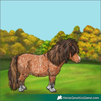 Horse Color:Red Roan Tobiano  and Bay Varnish 