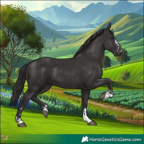 Horse Color:Smoky Black and Smoky Black