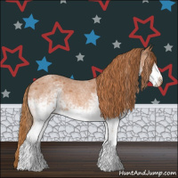 Horse Color:White Spotted Red Roan 