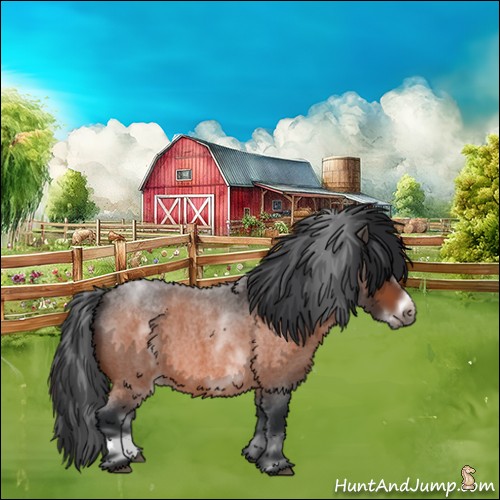 Horse Color:White Spotted Bay Roan Frame 