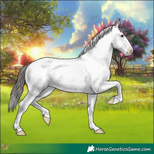 Horse Color:Black Varnish Rabicano