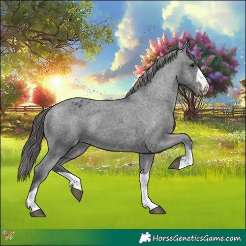 Horse Color:Black Varnish Rabicano