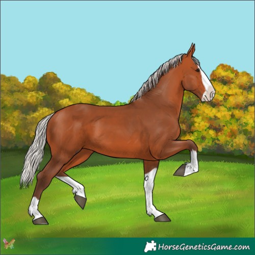 Horse Color:Silver Bay Splash