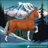 Horse Color:Silver Bay Splash 