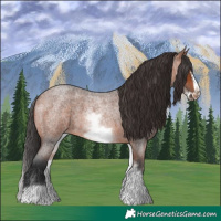 Horse Color:White Spotted Bay Roan Frame 