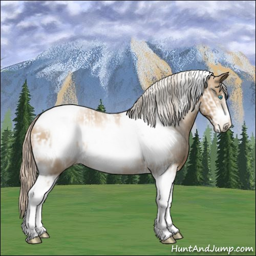 Horse Color:Chocolate Palomino Pearl Tobiano Frame and Chocolate Palomino Pearl Tobiano Frame Rabicano