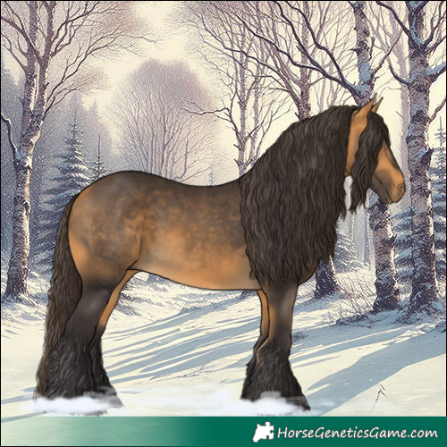 Horse Color:Buckskin 