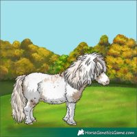 Horse Color:Chocolate Palomino Pearl Tobiano Frame  and Chocolate Palomino Pearl Tobiano Frame 