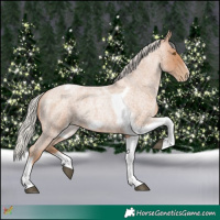 Horse Color:Silver Blue Roan Pearl Tobiano Frame 