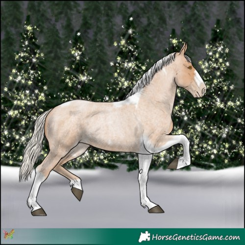 Horse Color:Silver Blue Roan Pearl Tobiano Frame 