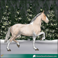 Horse Color:Silver Blue Roan Pearl Tobiano Frame