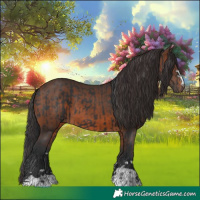 Horse Color:Black and Brown